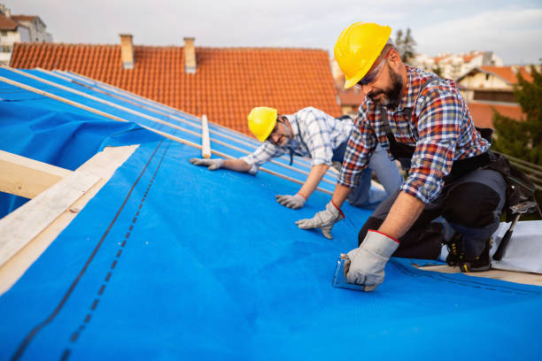 Best Storm Damage Roof Repair  in Moundville, AL